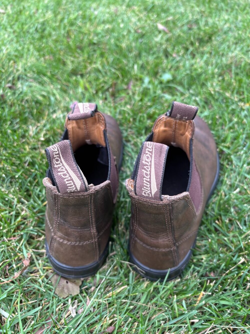 Blundstone Boots
